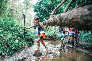 BIB: 
                            <button type="button" onclick="openModal(25372645)" class="btn btn-primary btn-sm float-right btn-popup" data-toggle="modal" data-target=".modal-high-quality">
                        <i class="fas fa-shopping-cart"></i> Add to Cart
                    </button>
                                            <button type="button" onclick="isThisMe(25372645, true)" class="btn btn-success btn-sm float-right btn-popup btn-isme hidden" data-toggle="tooltip" data-placement="bottom" title="นี่คือรูปของคุณใช่ไหม คลิกที่นี่เพื่อเอาเข้าอัลบั้ม">
                        <i class="fas fa-plus"></i> Add to album
                    </button>
                    <button type="button" onclick="isThisMe(25372645, false)" class="btn btn-warning btn-sm float-right btn-popup btn-isnotme hidden">
                        <i class="fas fa-ban"></i> Remove from album
                    </button>